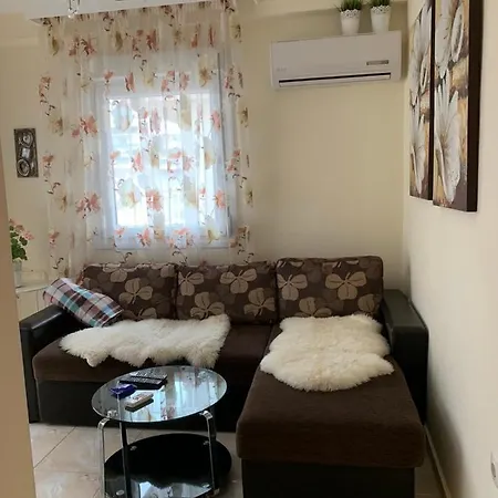 Myparalia ***** Daire *